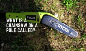 What Is a Chainsaw on a Pole Called