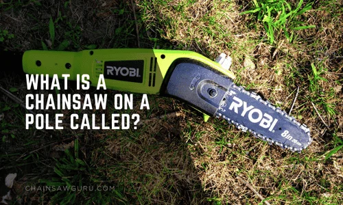 What Is a Chainsaw on a Pole Called