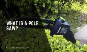 What Is a Pole Saw