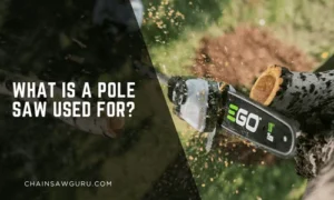 What Is a Pole Saw Used For.