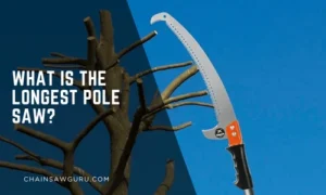 What Is the Longest Pole Saw