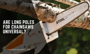Are Long Poles for Chainsaws Universal