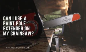 Can I Use a Paint Pole Extender on My Chainsaw