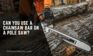 Can You Use a Chainsaw Bar on a Pole Saw