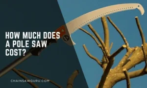 How Much Does a Pole Saw Cost
