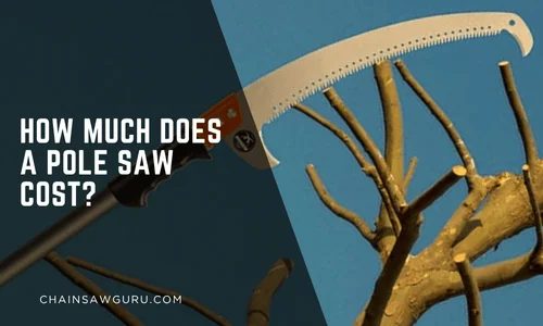 How Much Does a Pole Saw Cost