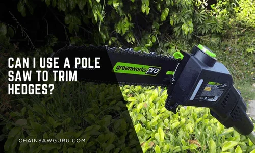 Can I Use a Pole Saw to Trim Hedges