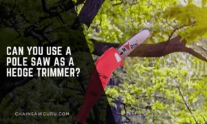 can you use a pole saw as a hedge trimmer