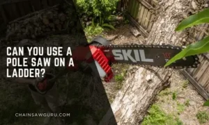 can you use a pole saw on a ladder