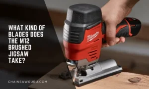 what kind of blades does the m12 brushed jigsaw take